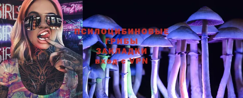 Псилоцибиновые грибы Magic Shrooms  Карачаевск 